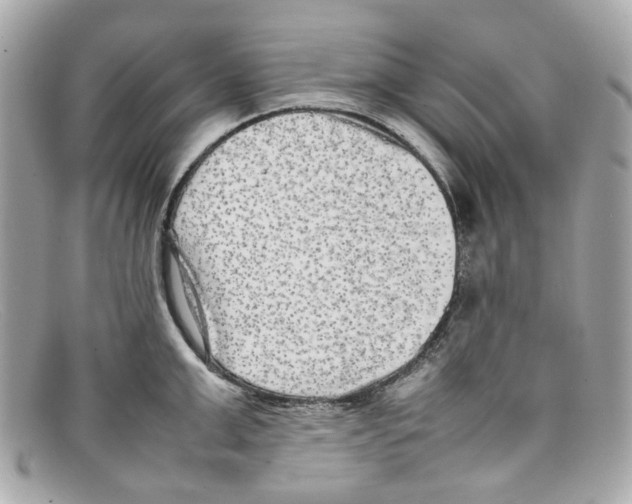 X0000097960999200804211057