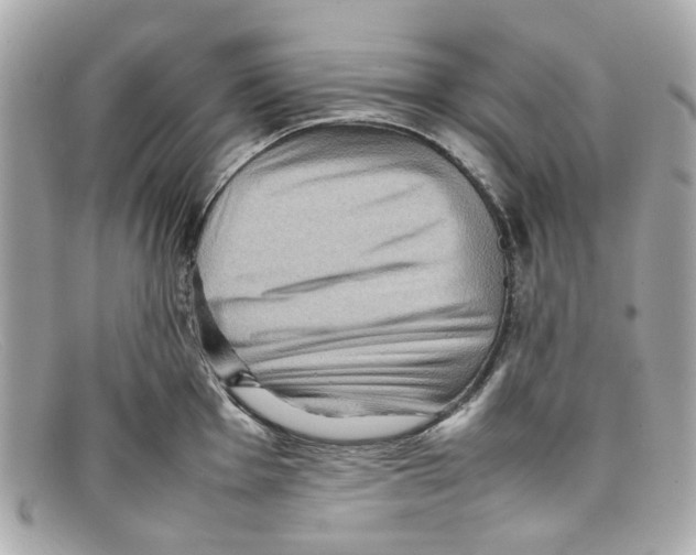 X0000097961001200804211057