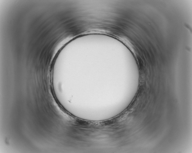 X0000097961003200804211057