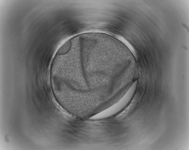 X0000097961004200804211057