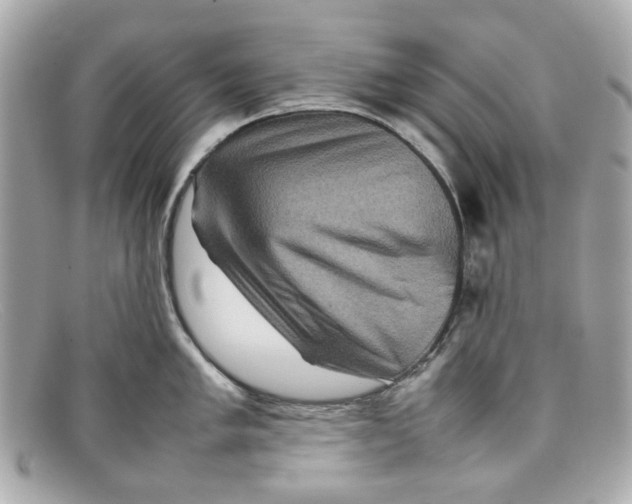 X0000097961005200804211057