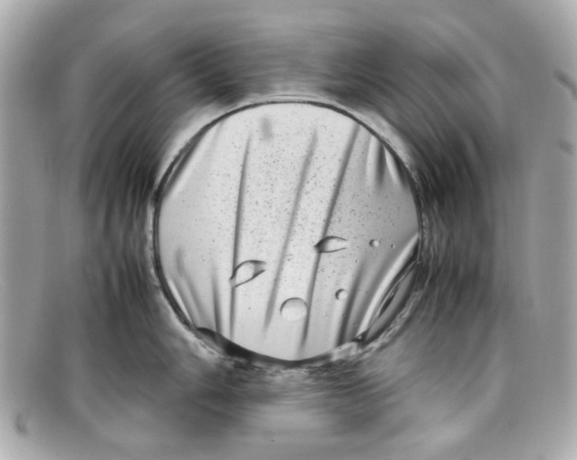 X0000097961006200804211057