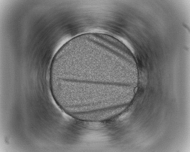 X0000097961007200804211057