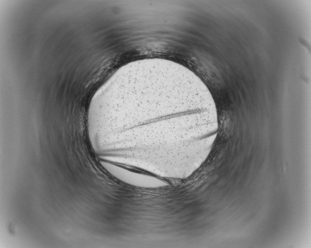 X0000097961012200804211057