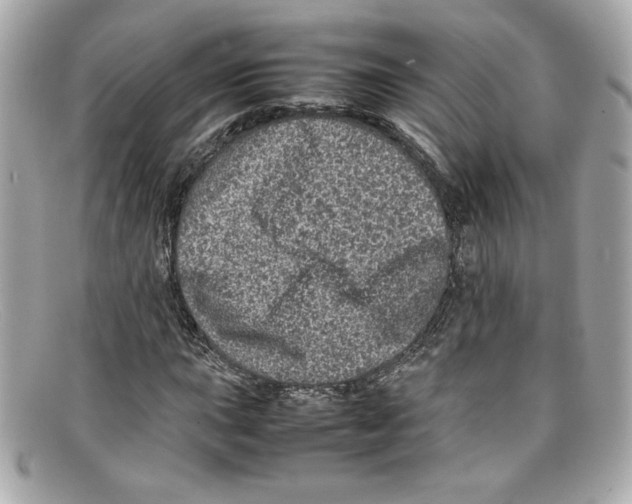 X0000097961015200804211057