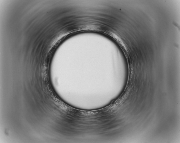 X0000097961019200804211057