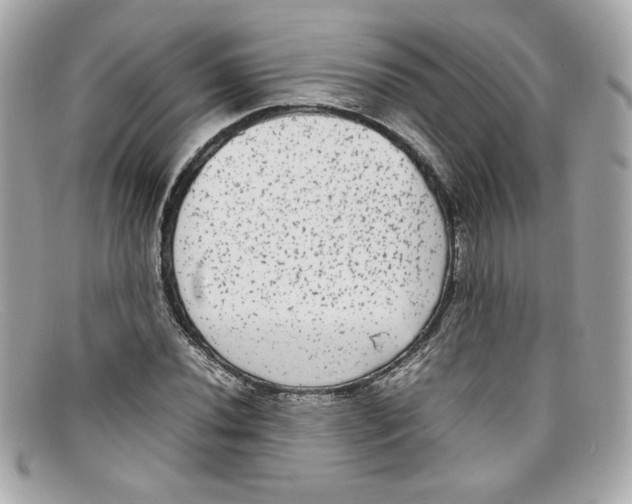 X0000097961020200804211057