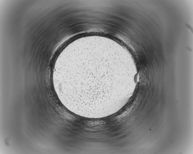 X0000097961021200804211057