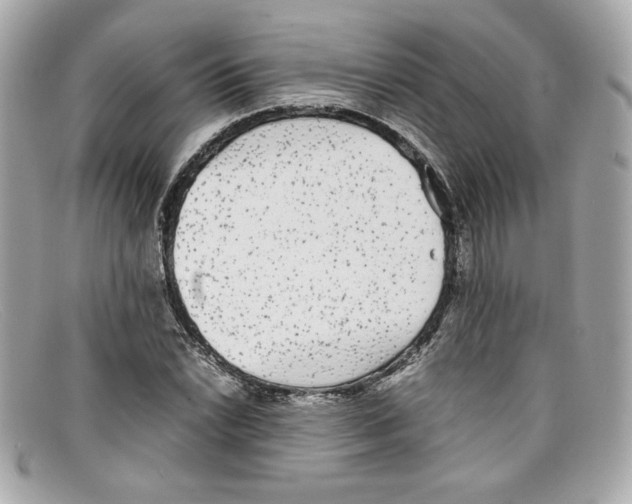 X0000097961022200804211057