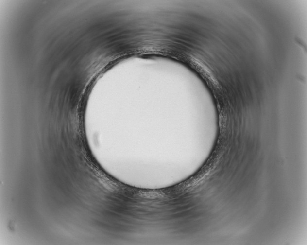 X0000097961023200804211057