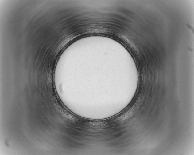 X0000097961025200804211057