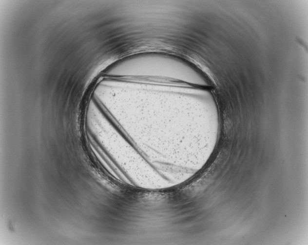 X0000097961026200804211057