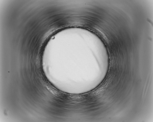 X0000097961027200804211057