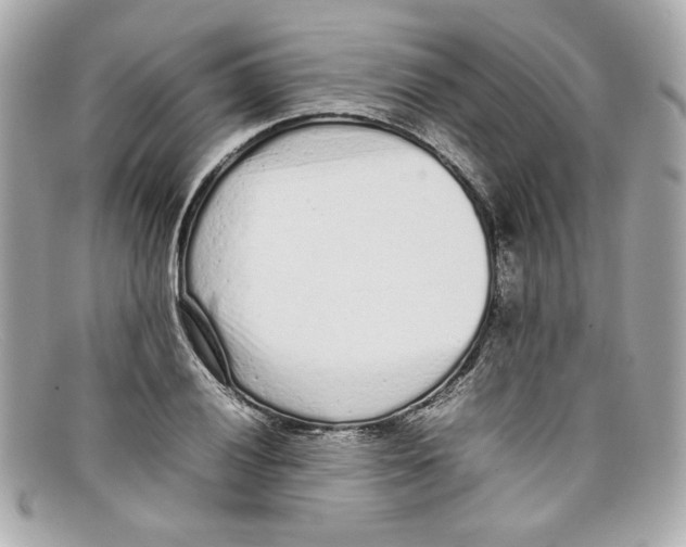 X0000097961028200804211057