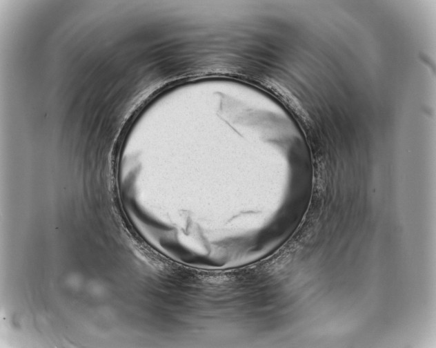 X0000097961031200804211057