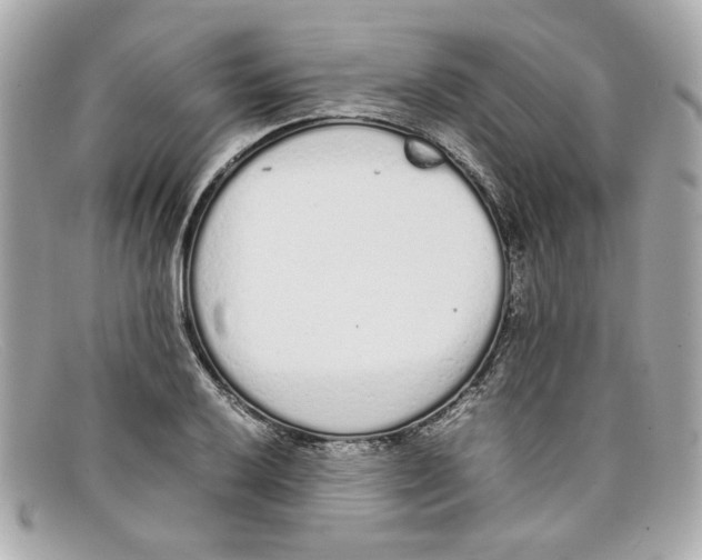 X0000097961032200804211057