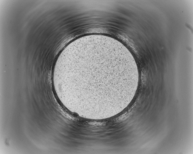 X0000097961033200804211057