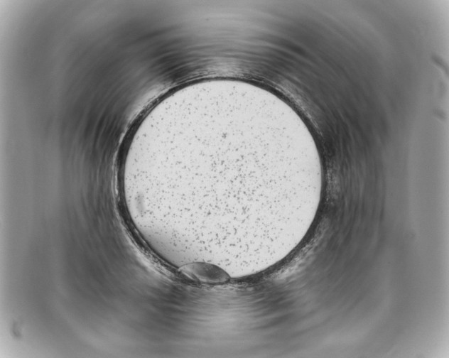 X0000097961034200804211057
