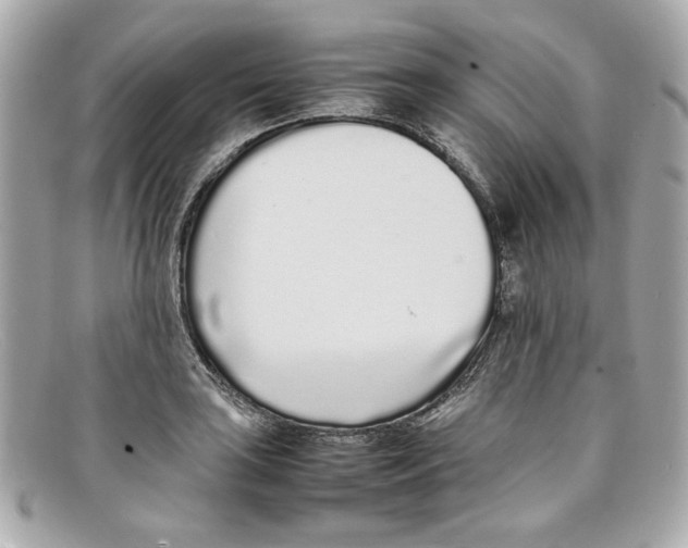X0000097961035200804211057