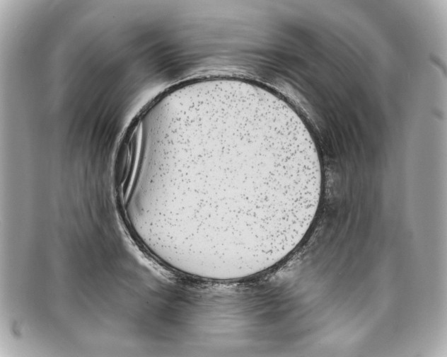 X0000097961038200804211057