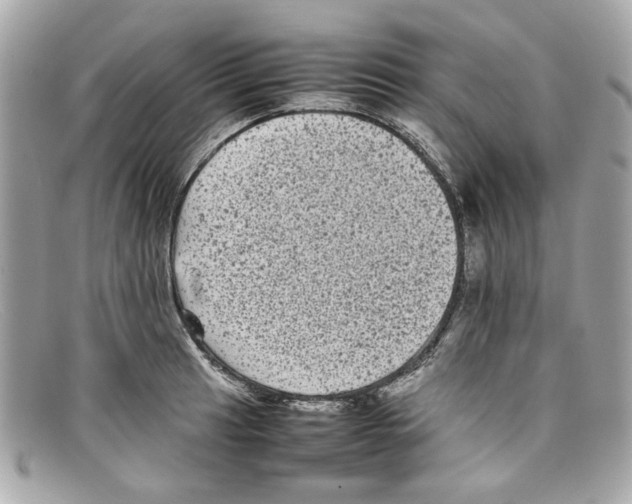 X0000097961041200804211057