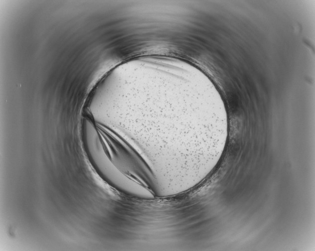 X0000097961042200804211057