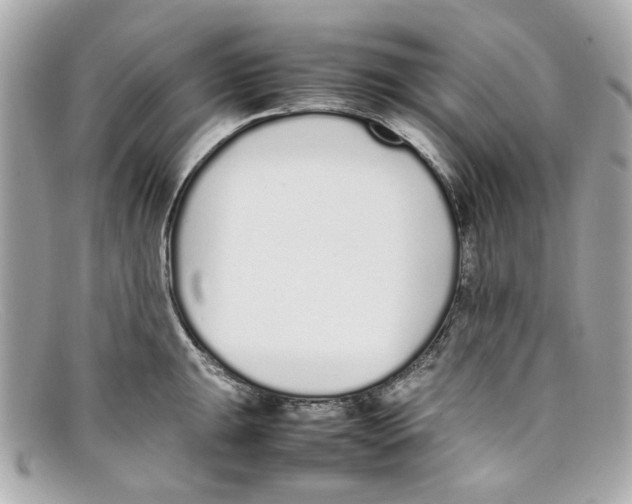 X0000097961047200804211057