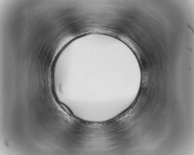 X0000097961048200804211057