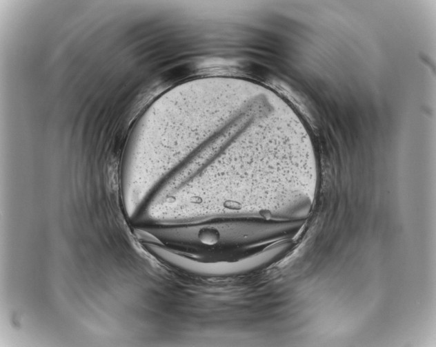 X0000097961049200804211057