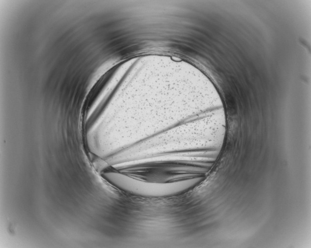 X0000097961050200804211057