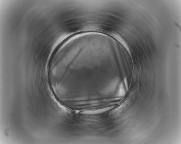 X0000097961053200804211057