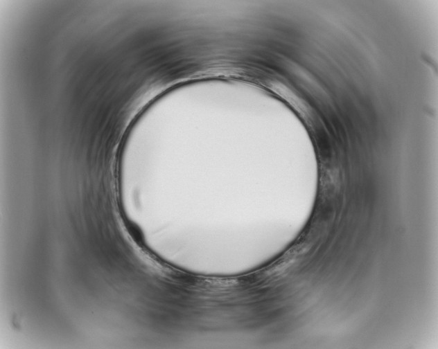 X0000097961055200804211057