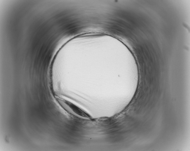 X0000097961056200804211057