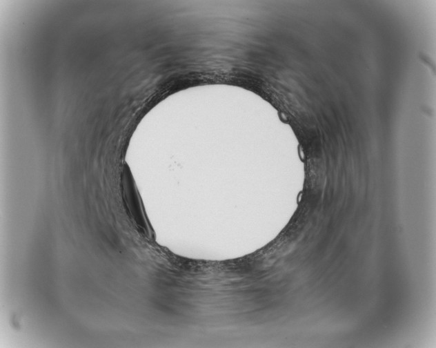 X0000097961057200804211056