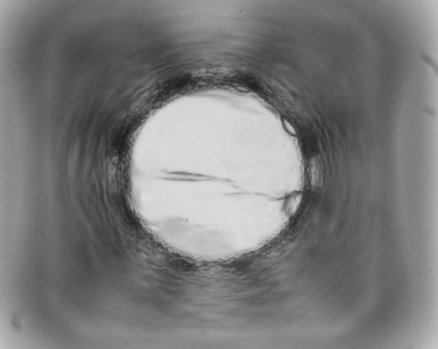 X0000097961059200804211056