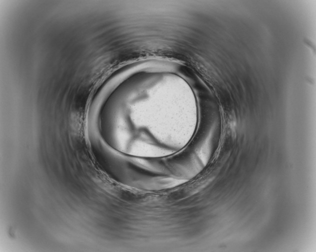 X0000097961060200804211056