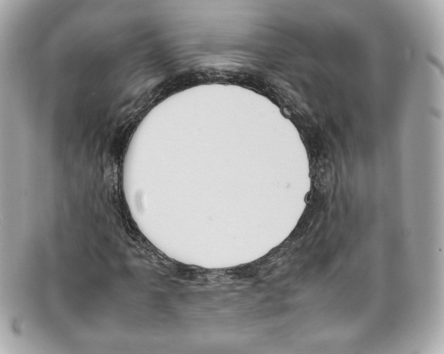 X0000097961061200804211056