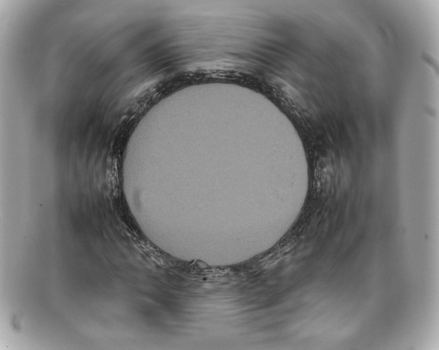 X0000097961062200804211056