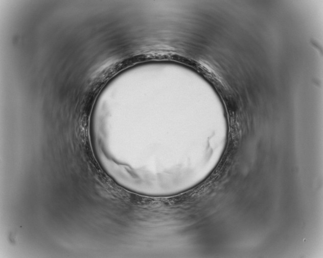 X0000097961063200804211056