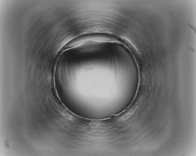 X0000097961065200804211056