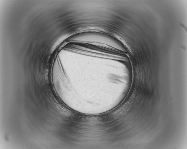 X0000097961066200804211056