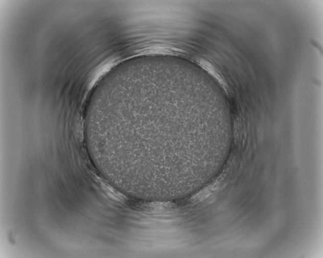 X0000097961067200804211056