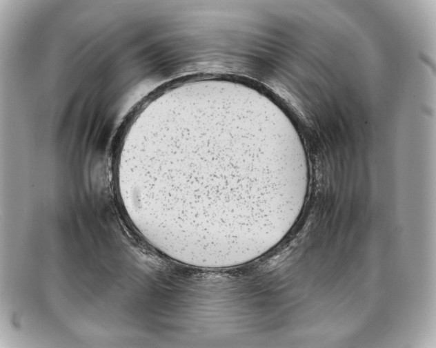 X0000097961070200804211056