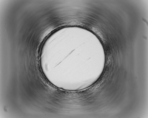 X0000097961071200804211056