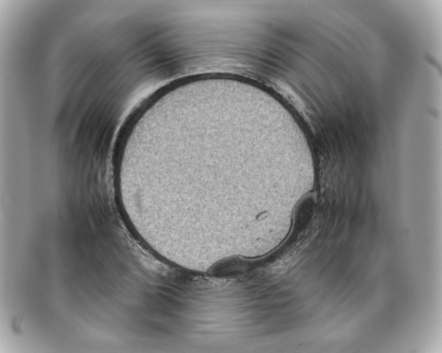 X0000097961072200804211056