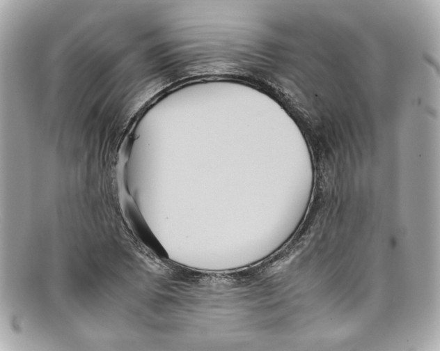 X0000097961073200804211056