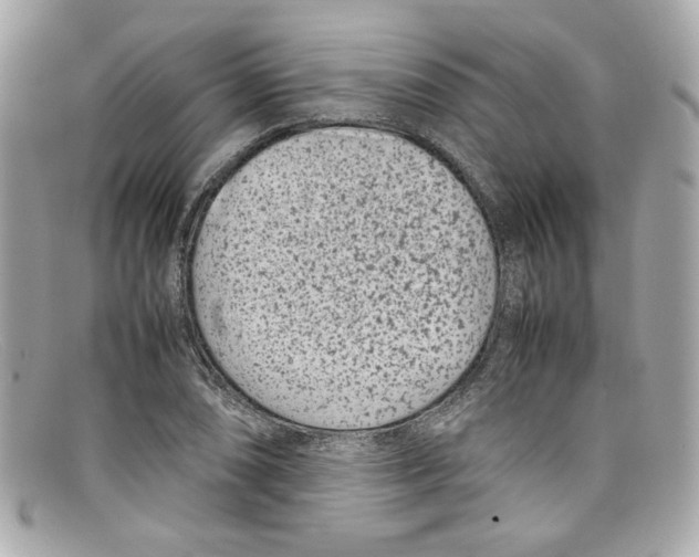 X0000097961074200804211056