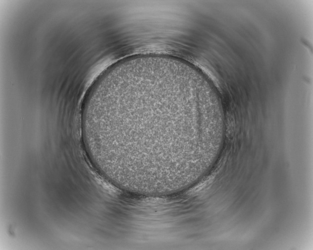 X0000097961075200804211056