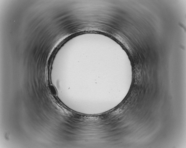 X0000097961076200804211056
