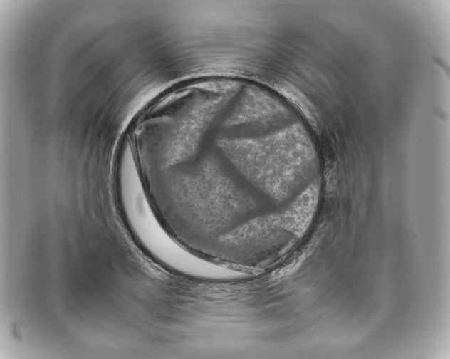 X0000097961077200804211056